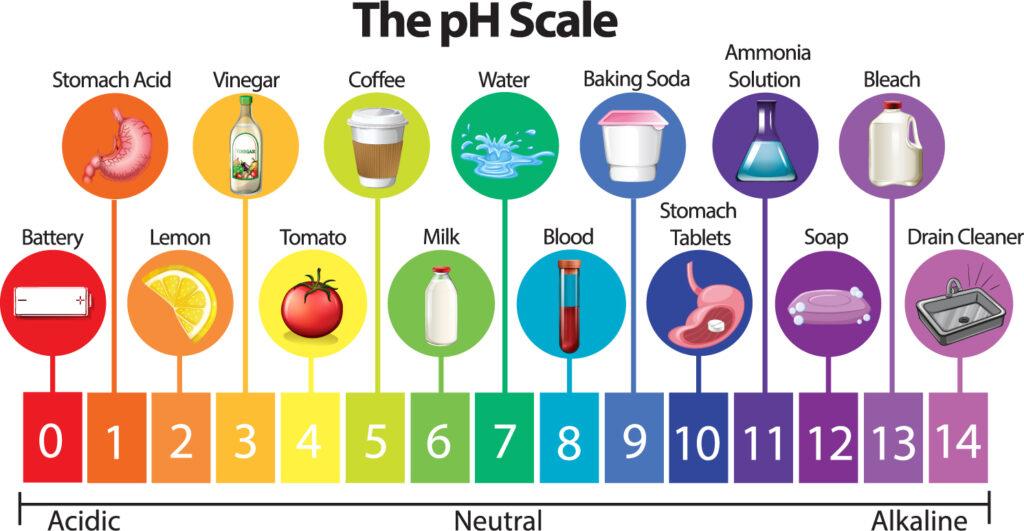 pH 스케일